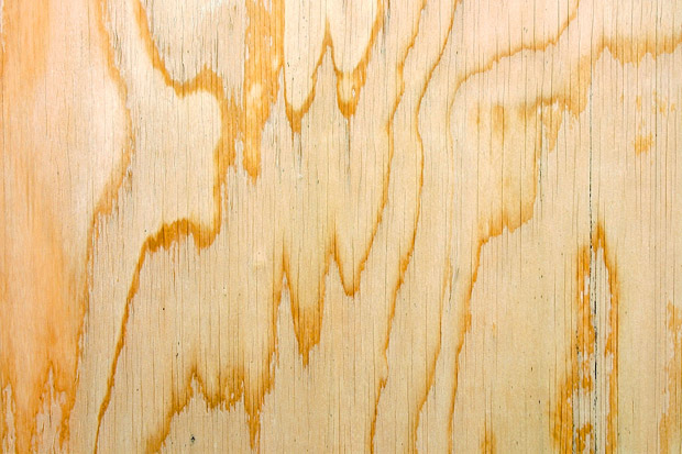 hr-102316-joanne-plywood