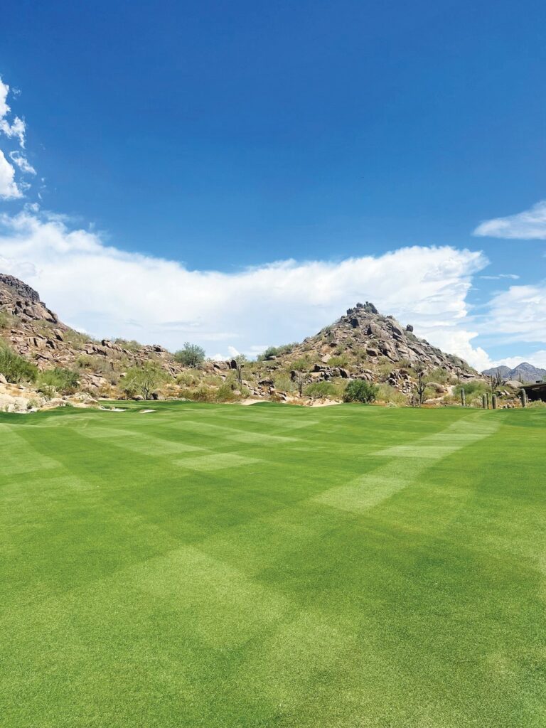 Enter the emerald outdoors - HAWAIIAN TURFGRASS | Hawaii Renovation